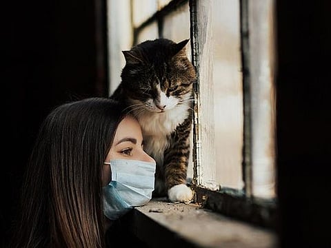 Extrinsic motivation can help get you started, but to keep going you’ll need intrinsic motivation 