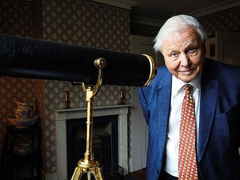 While Sir David jokes he doesn't celebrate birthdays any more, he is firmly committed to further projects spanning the next 18 months 