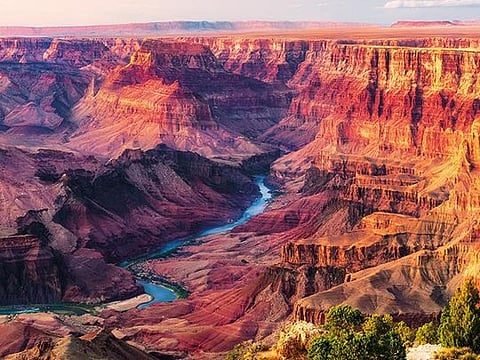 The coppery-coloured Grand Canyon formations have been depicted in many Widforss paintings 