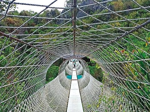 Outdoor pedestrian suspension bridge at Masungi Georeserve 