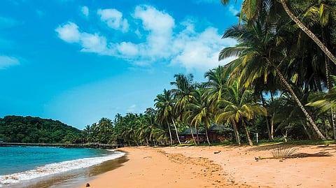 A beautiful beach in the Bom Bom Resort. 