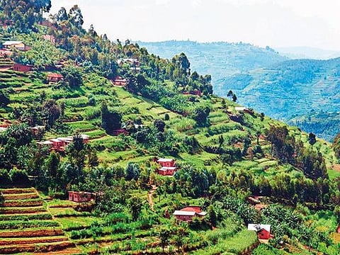 Rwanda has been dubbed ‘the land of a thousand hills’ and for once it’s a slogan guilty of understatement rather than hyperbole 