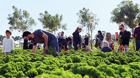 Emirates Bio Farm offers a perfect opportunity to be close to nature 