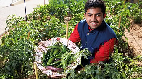 The best way to change a negative attitude is to show results, says Darshan. 'And we had a lot of colourful, delicious results to show' 