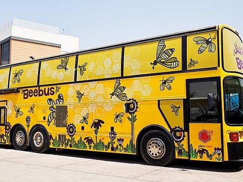 The Beebus is an upcycled vehicle that seats 14. It has travelled to remote schools, including near the Saudi border 