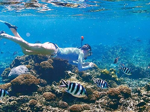 The clear water of Seychelles is rich with marine life and offers an unforgettable snorkelling experience 