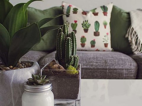 2019 Interiors Trends