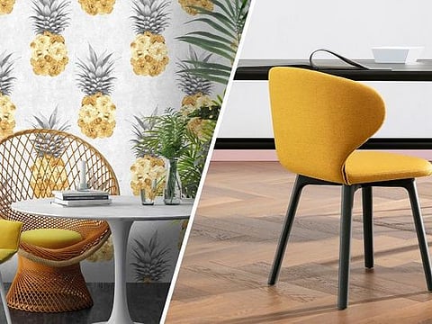 Ludic Yellow Pineapple Wallpaper from Woodchip and Magnolia, Dh327 per roll; Miniforms Mula dining chair from Go Modern Furniture , Dh2,739