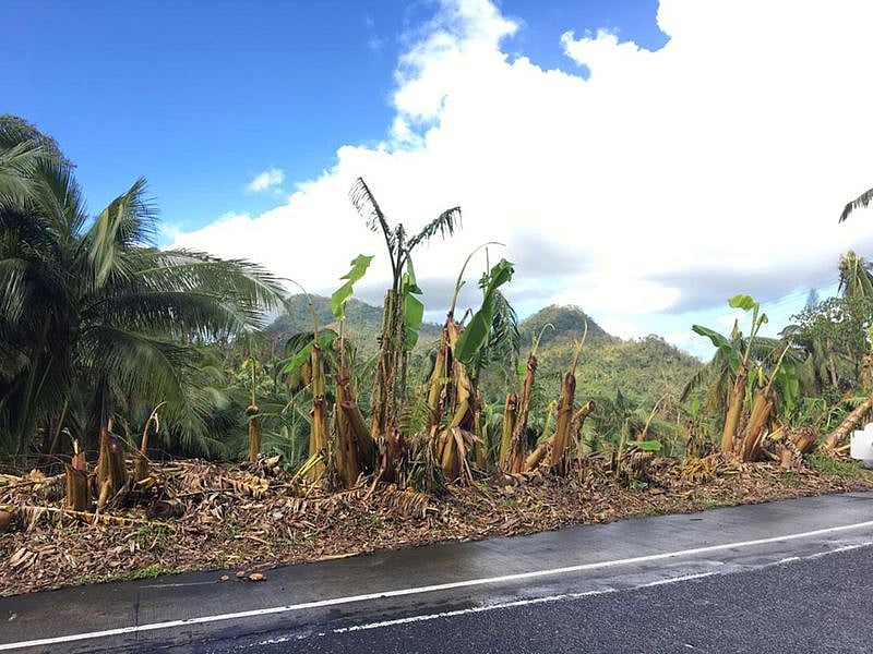 Post-typhoon restoration