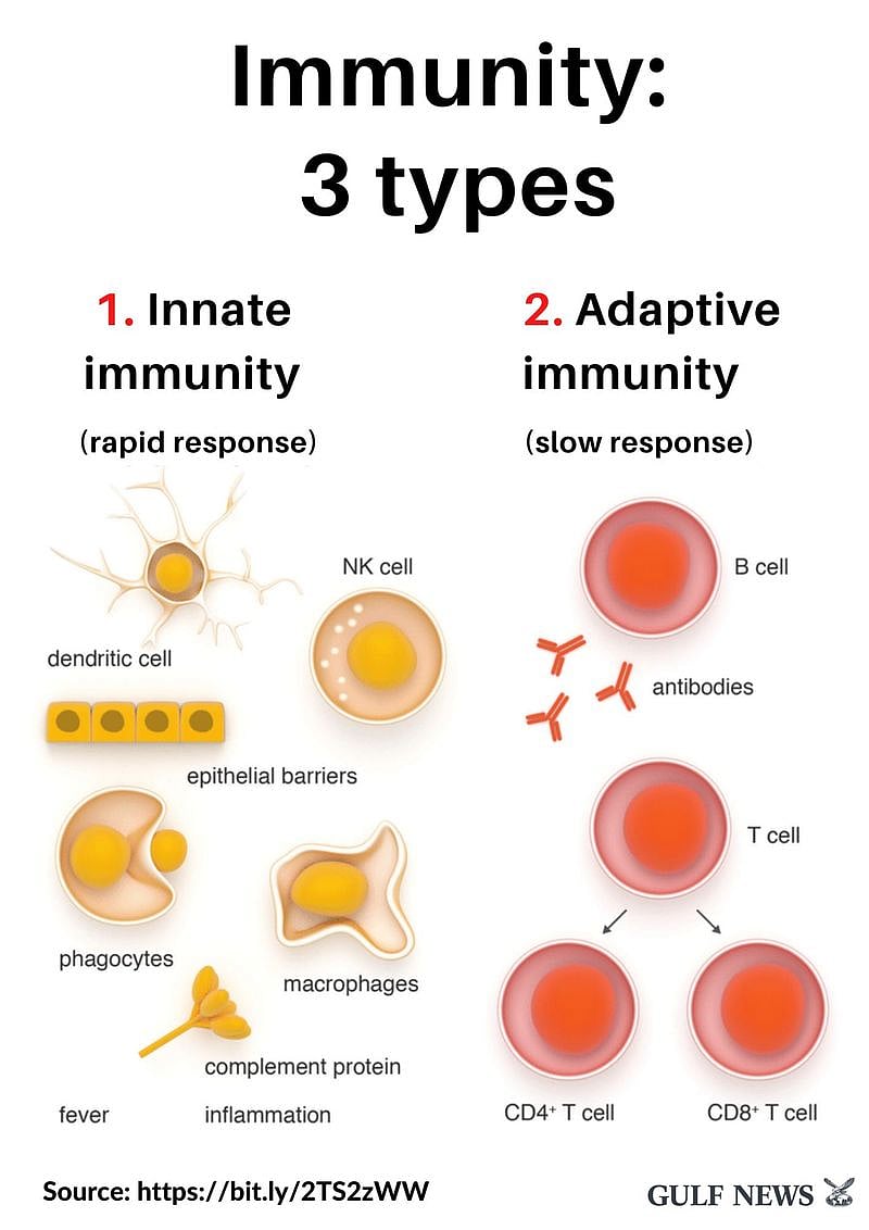 Types Of Immunity In Biotechnology