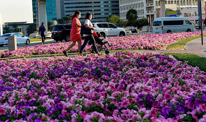 UAE Welcomes Spring as Saad Al Saud Star Rises, Signaling Seasonal Shift