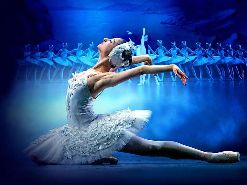Swan lake