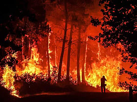France, Spain battle 'monster' wildfires with more heat on the way