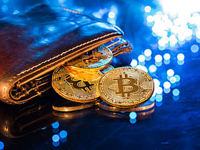 Bitcoin Suisse sees UAE as key hub as institutional investors drive digital asset growth