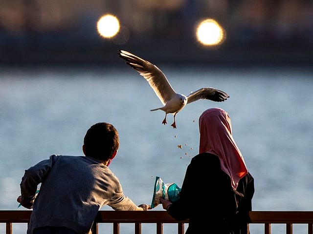When does winter start in the UAE 2026?