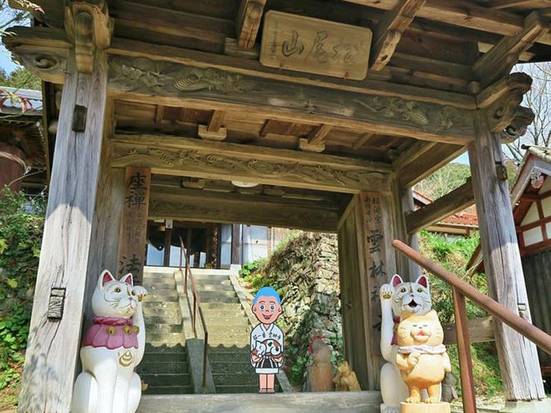 Popular 'Cat Temple' in Japan has a post box with letters