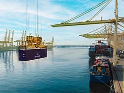Parcel Container All Types DP World hits best-ever container volumes despite global headwinds