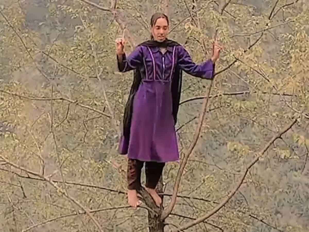 Kashmiri woman’s daring tree-top dance video goes viral