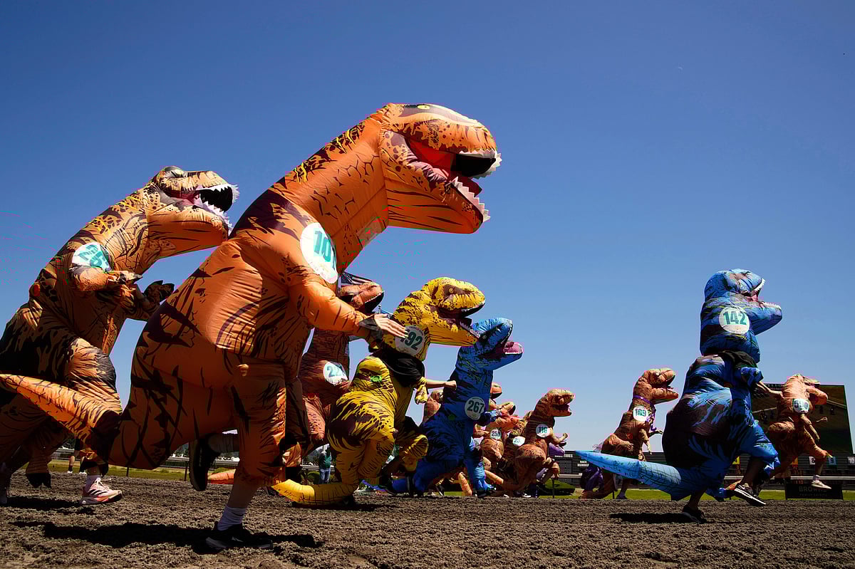 Dino-madness! T-Rex costumes fill racing track