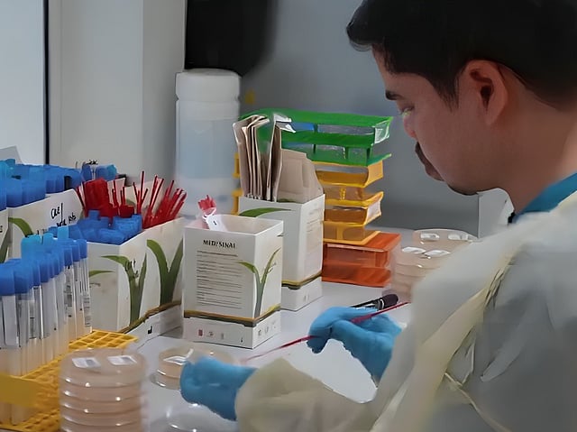 Look: UAE’s largest AI-powered standalone diagnostic lab opens, to ...