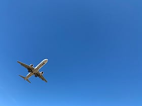 Tehran-Dubai flights to resume Monday: Iranian media