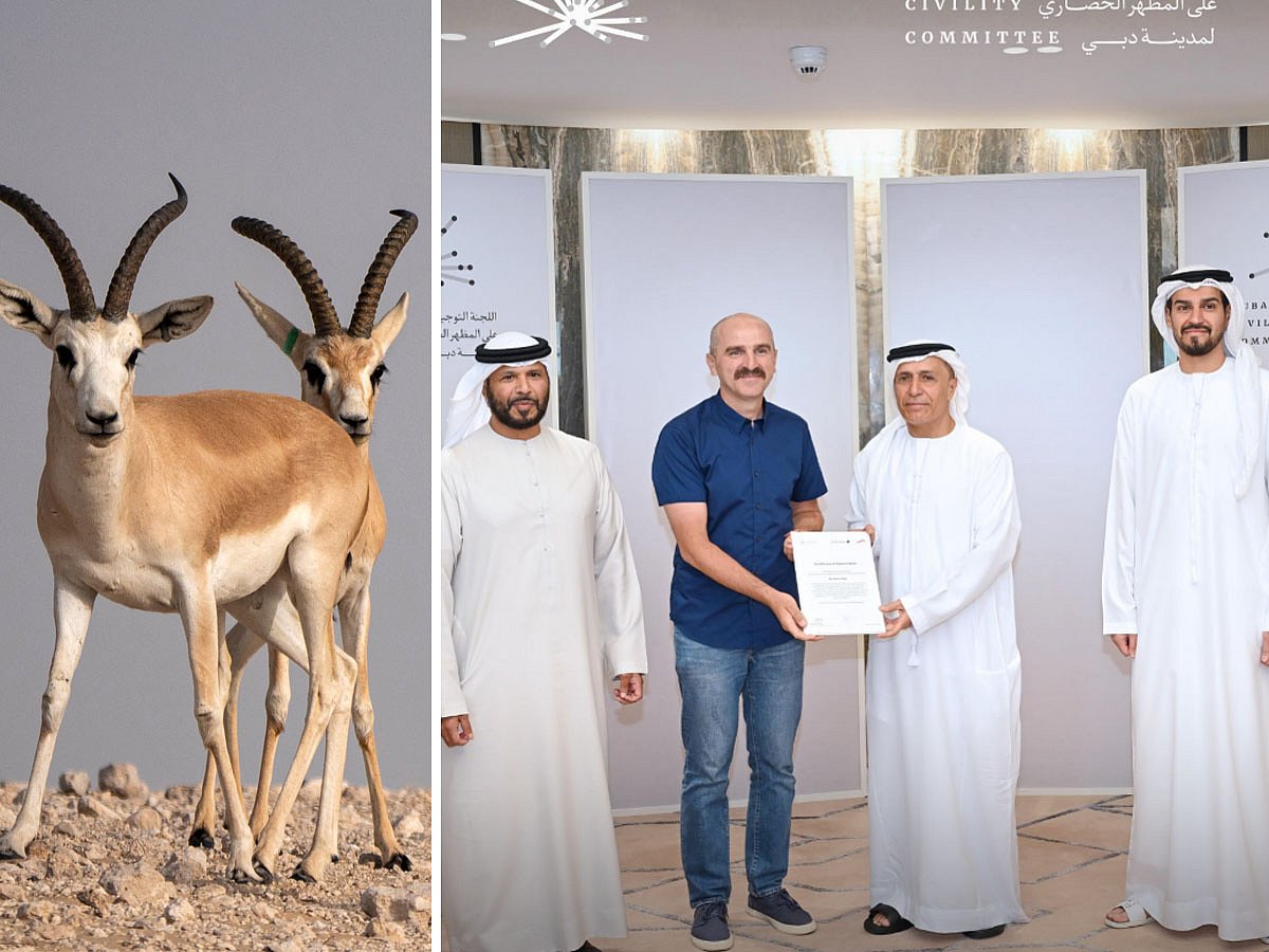 Dubai cyclist discovers injured gazelle, prompts swift rescue by Dubai Municipality
