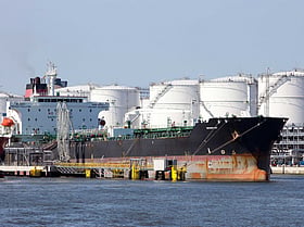 EU LNG Import Declines Signal Volatility Amid Surging German Demand