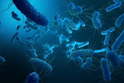 Kerala Health Authorities Issue Shigella Alert After Pediatric Fatality