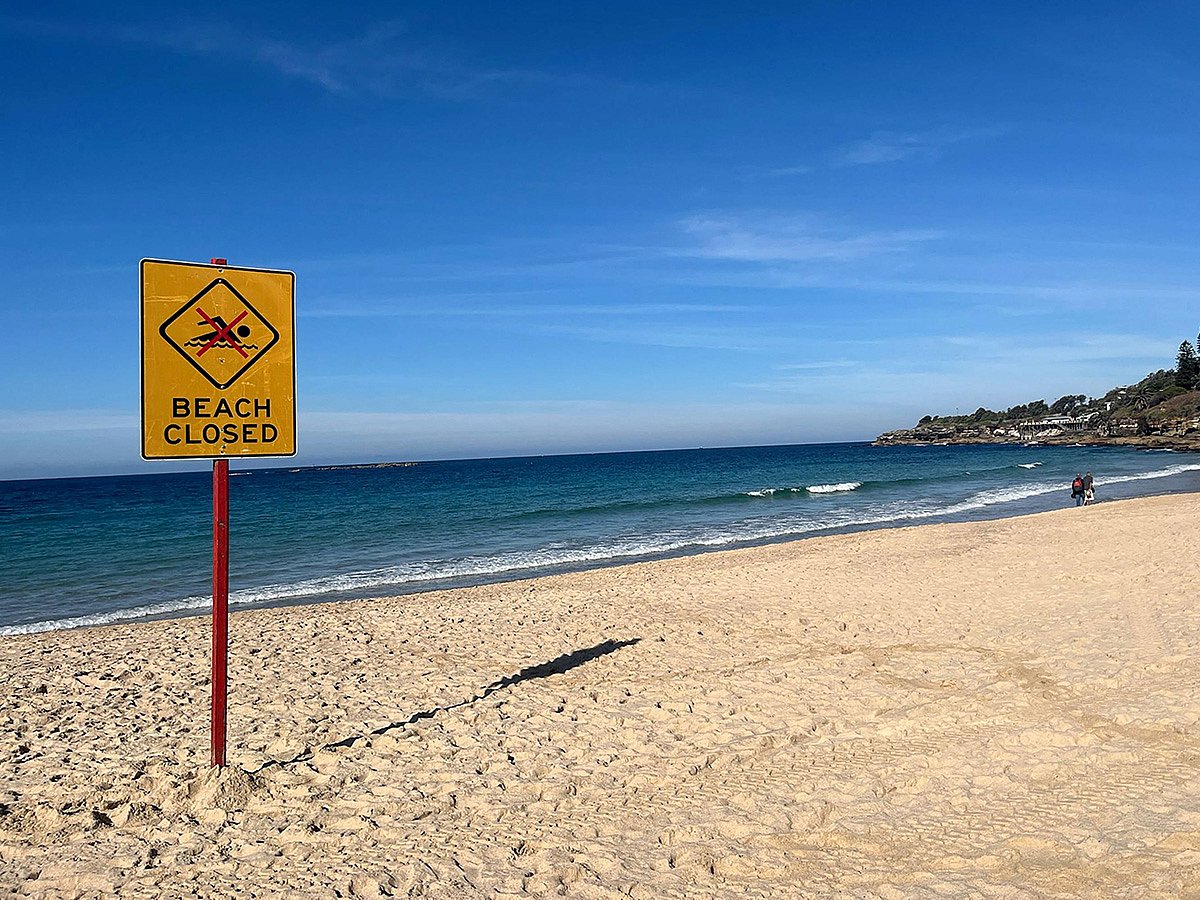 Sydney Shark Attack Leaves Woman Critically Injured at Coogee Beach