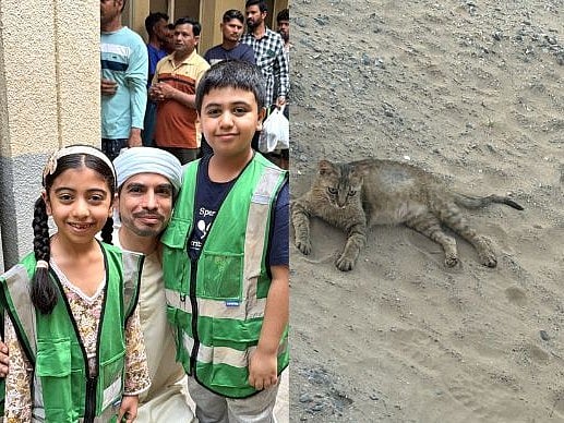 Dubai Emirati Rescues 30 Street Cats: Inside Abdulkarim Al Zarouni’s ...