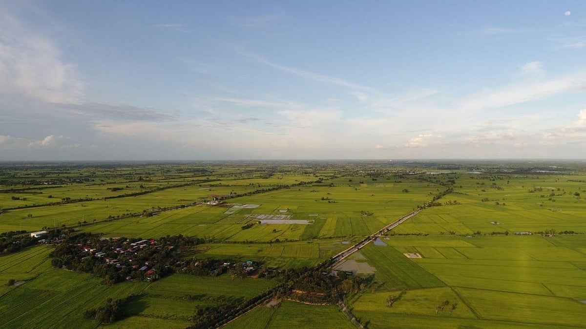 UAE Expands Agritech Infrastructure to Secure Food Independence