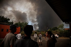 'Like a war zone': Wildfires force 20,000 to flee in southwest France