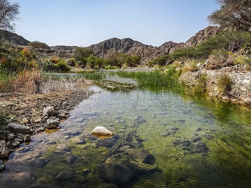 A rocky canyon with a turquoise freshwater pool and a cascading waterfall amidst the arid mountains of the UAE.
