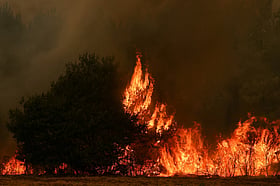 Spain lets wildfire evacuees return but France fears flames spreading