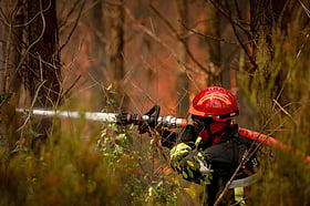 UAE expresses solidarity with France over wildfires