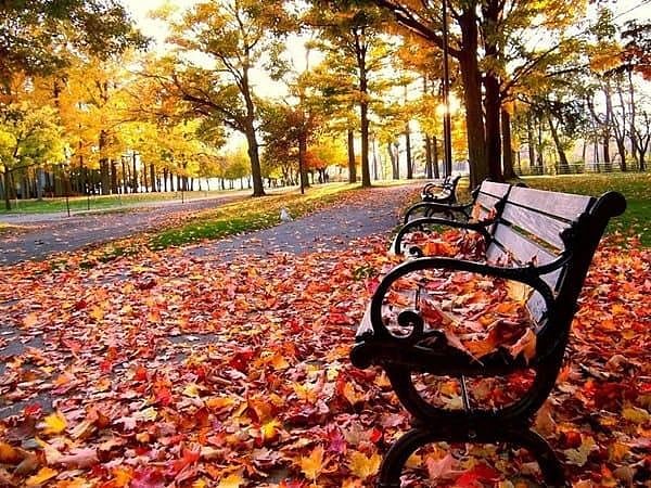 UAE Autumn Starts Wednesday: Temperatures to Fall and Rain Chances to Rise