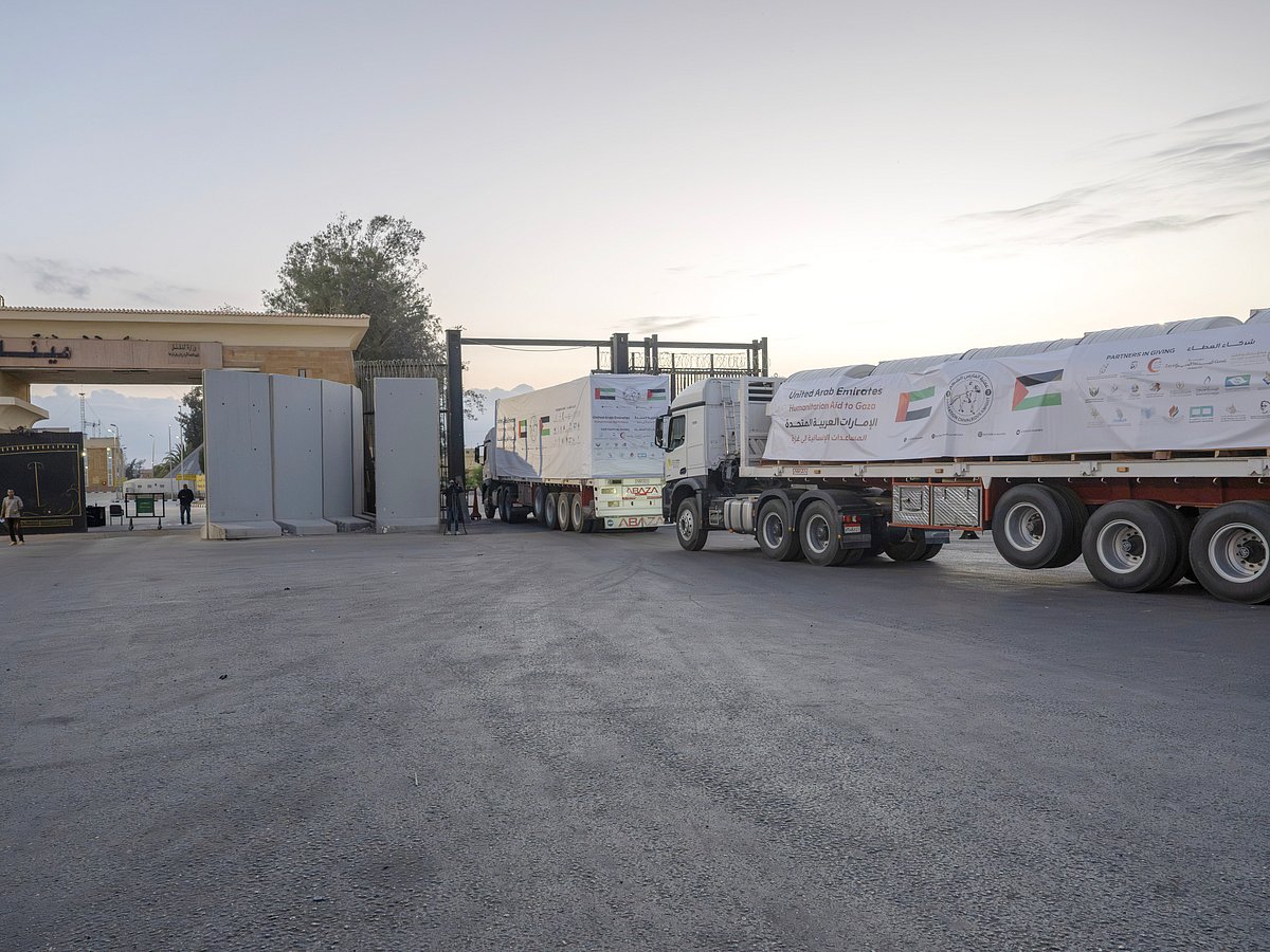 Five UAE aid convoys carrying 617 tonnes enter Gaza under Operation ...