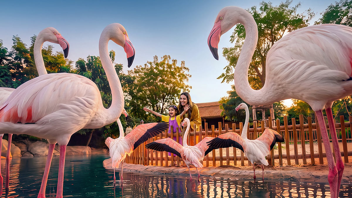 Dubai Safari Park gears up for its wildest season yet