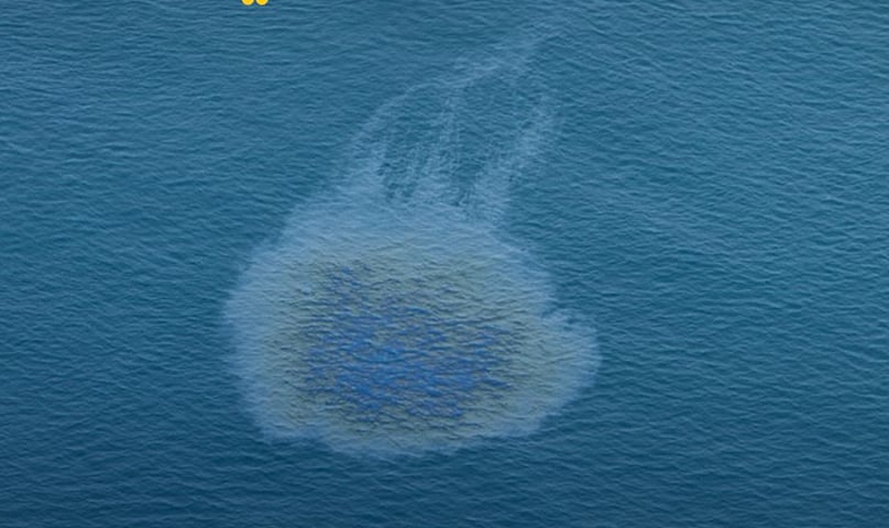 UAE Oil Spill: Umm Al Quwain Beaches Closed Amid Cleanup Operations