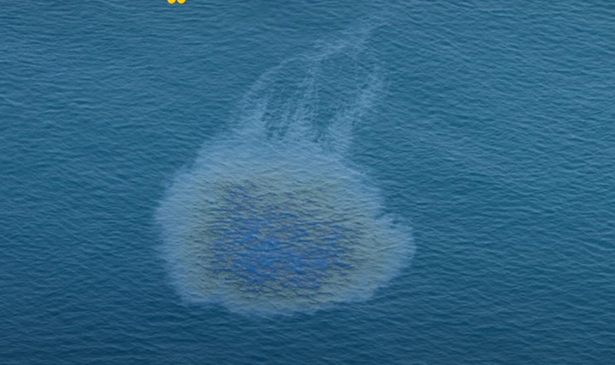 Oil Splick UAE Oil Spill: Umm Al Quwain Beaches Closed Amid Cleanup Operations