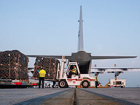 Dubai launches new air bridge to deliver winter aid to Gaza
