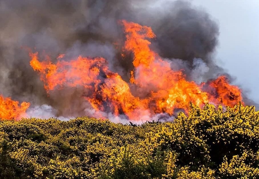 UK PM announces military aircraft to help fight future wildfires