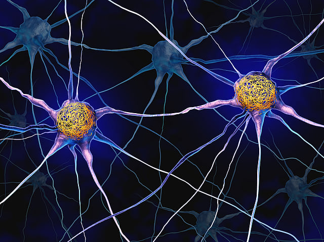 Brain health must be part of every conversation about healthy ageing