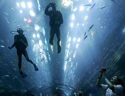 dubai-mall-aquarium-cracked-and-leaking