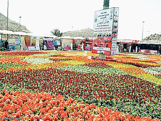 Over 200,000 to visit Taif Rose Festival