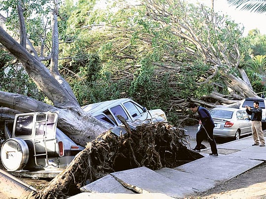 Powerful winds fell California trees and power lines