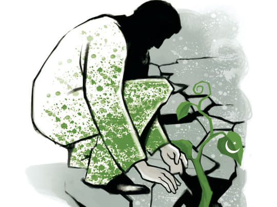 Structural Fragility and the Pakistan Fuel Subsidy Trap