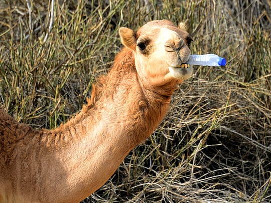 Your carelessness is taking lives