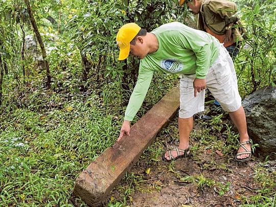 Philippines: Forest rangers losing the battle against illegal logging
