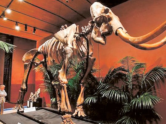 Biogeneticists eye resurrection of extinct species